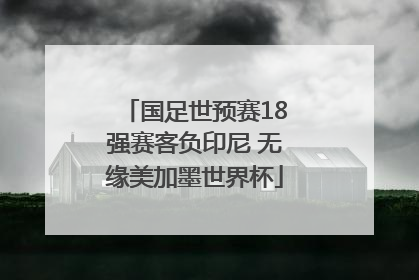 国足世预赛18强赛客负印尼 无缘美加墨世界杯